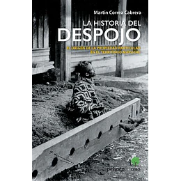La Historia Del Despojo
