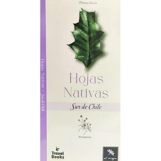 Hojas Nativas Del Sur De Chile