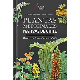 Plantas Medicinales Nativas De Chile 