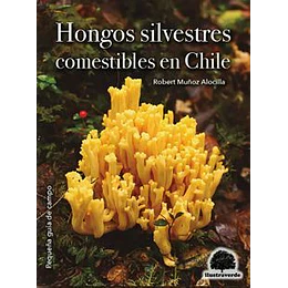 Hongos Comestibles En Chile