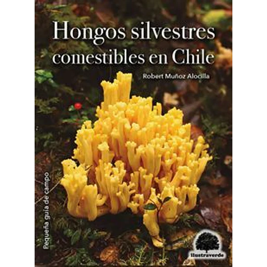 Hongos Comestibles En Chile