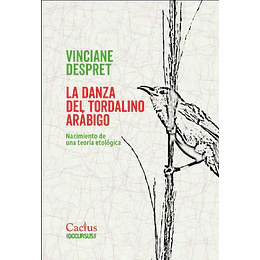 La Danza Del Tordalino Arabigo