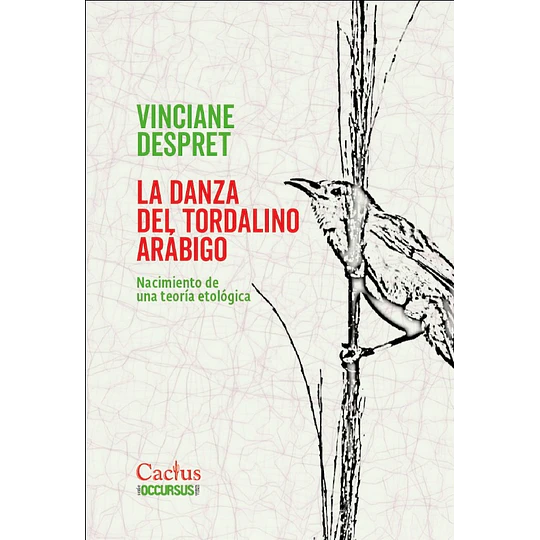 La Danza Del Tordalino Arabigo