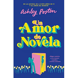 Un Amor De Novela