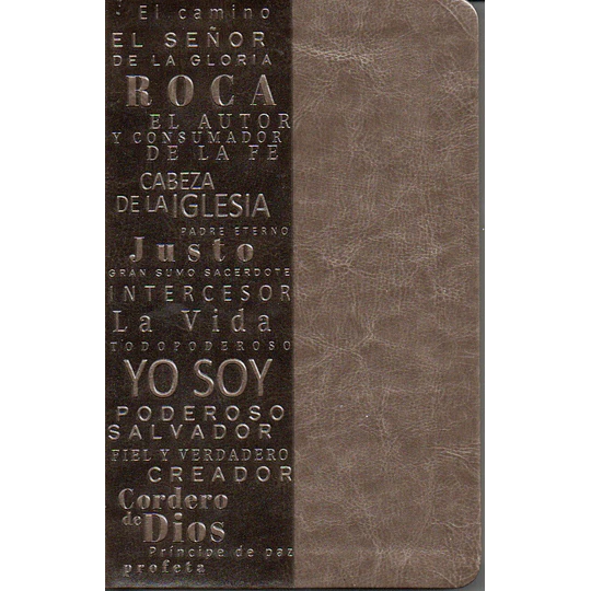 Biblia Reina Valera 1960 Tamaño Manual Letra Grande Nombres De Dios