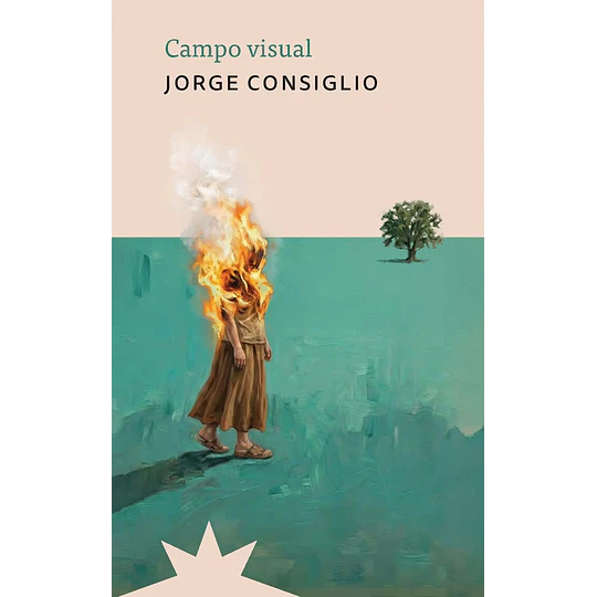 Campo Visual