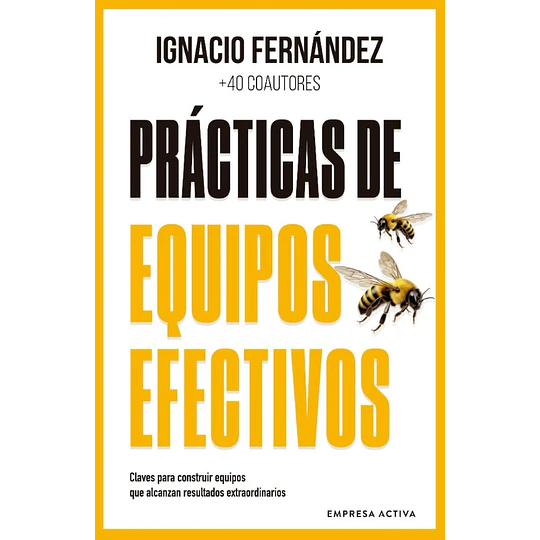 Practicas De Equipos Efectivos