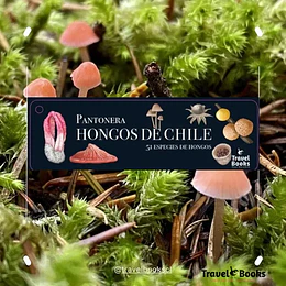Hongos De Chile. Pantonera