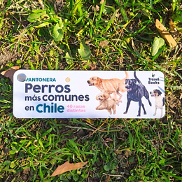 Pantonera Perros Mas Comunes En Chile