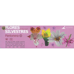 Pantonera Flora Silvestre Chile Central 