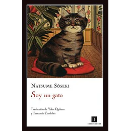 Soy Un Gato