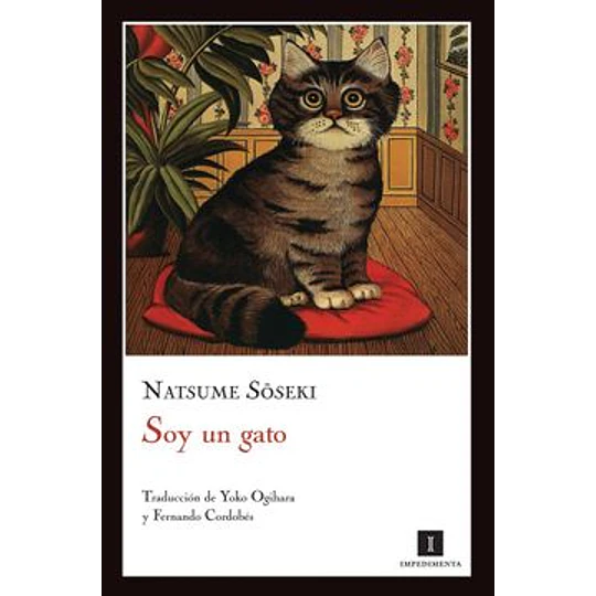 Soy Un Gato
