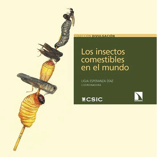 Los Insectos Comestibles En El Mundo
