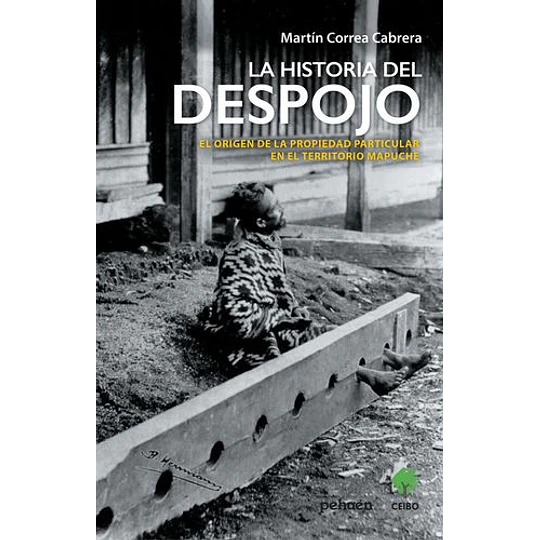La Historia Del Despojo
