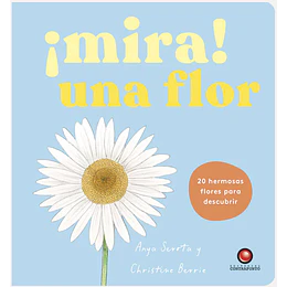 Mira Una Flor