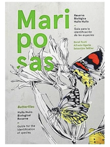 Mariposas Butterflies Reserva Biologica Huilo Huilo 1