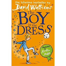 The Boy In The Dress