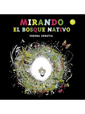 Mirando El Bosque Nativo