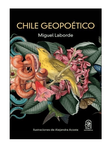 Chile Geopoetico 1