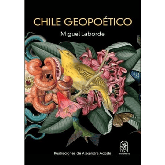Chile Geopoetico