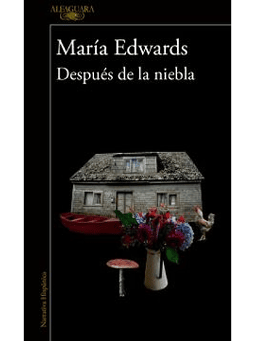 Despues De La Niebla 1