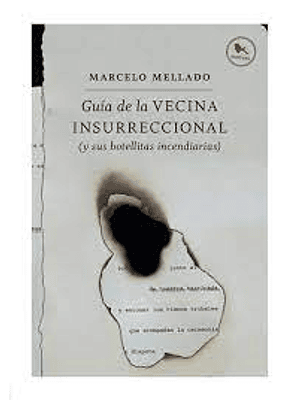 Guia De La Vecina Insurreccional
