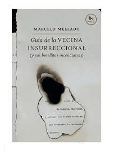 Guia De La Vecina Insurreccional 1