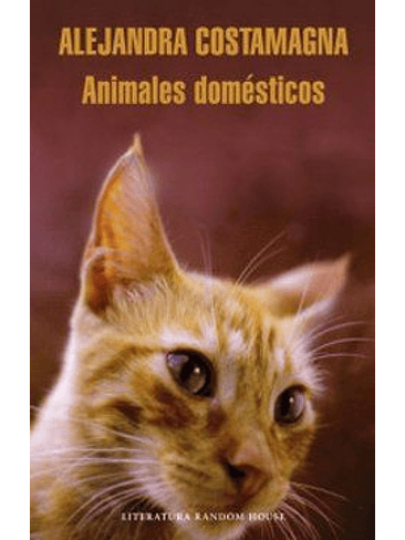 Animales Domesticos 1