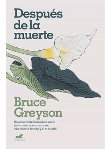 Despues De La Muerte 1
