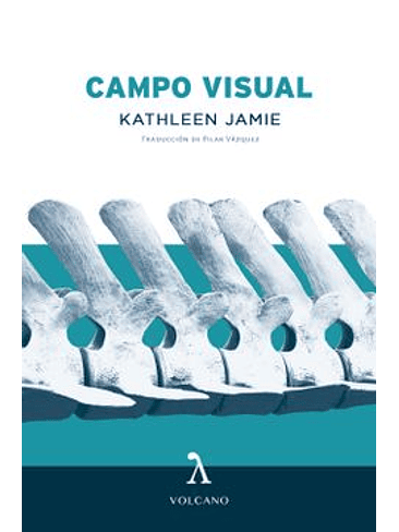Campo Visual 1