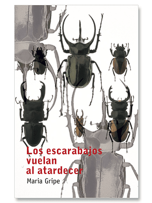 Escarabajos Vuelan Al Atardecer, Los