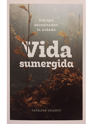 Vida Sumergida Por Que Necesitamos El Oceano