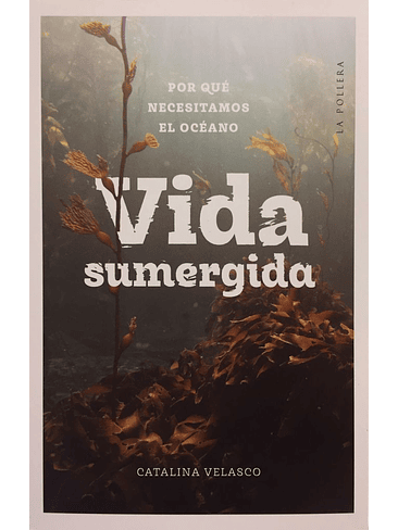 Vida Sumergida Por Que Necesitamos El Oceano 1