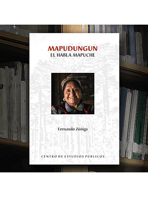 Mapudungun El Habla Mapuche