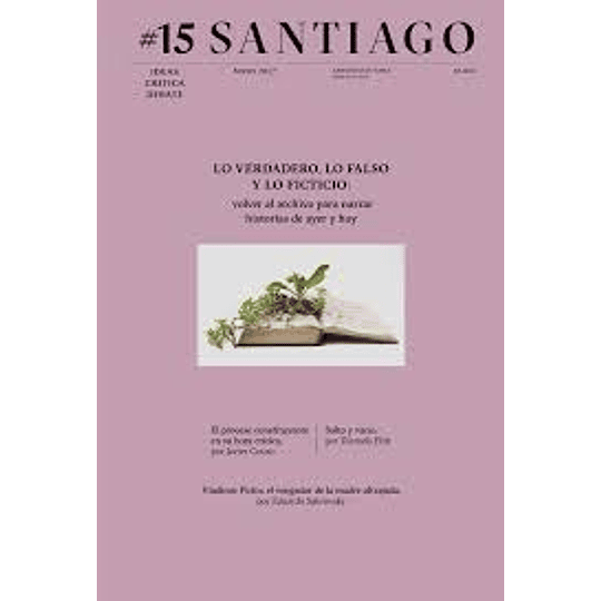 Revista Santiago 15