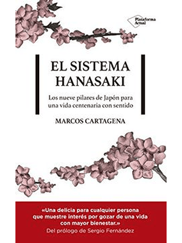 Sistema Hanasaki, El 1