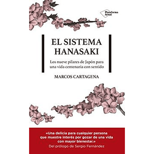 Sistema Hanasaki, El
