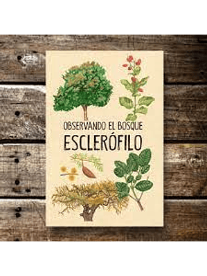 Observando El Bosque Esclerofilo