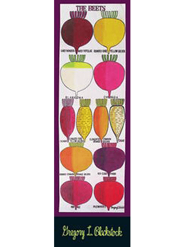 Marcapaginas The Beets  1