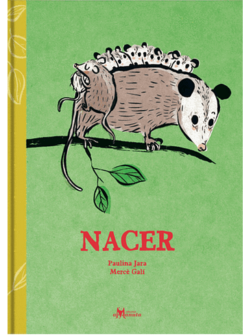 Nacer 1