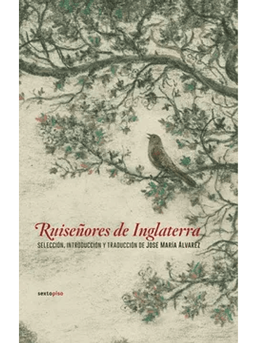 Ruiseñores De Inglaterra 1