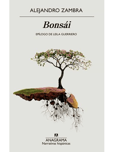 Bonsai 1