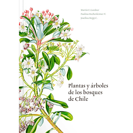 Plantas Y Arboles De Los Bosques De Chile