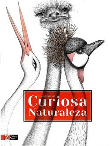 Curiosa Naturaleza 1