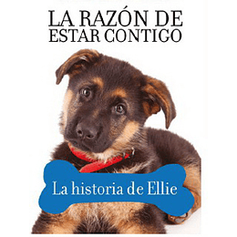 Razon De Estar Contigo 4 La Historia De Ellie, La