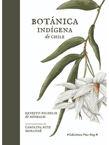 Botanica Indigena De Chile 1