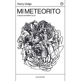 Mi Meteorito