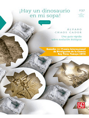 Hay Un Dinosaurio En Mi Sopa