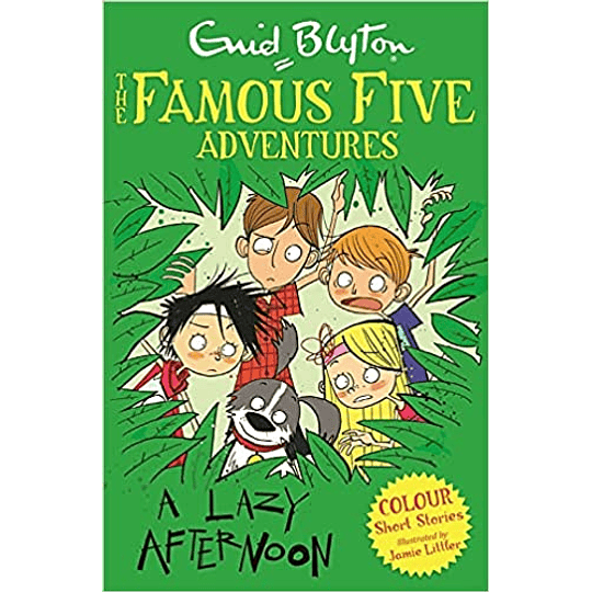 The Famous Five Adventures A Lazy Afternoon