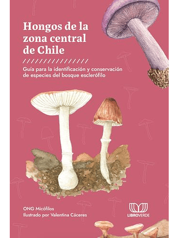 Hongos De La Zona Central De Chile 1